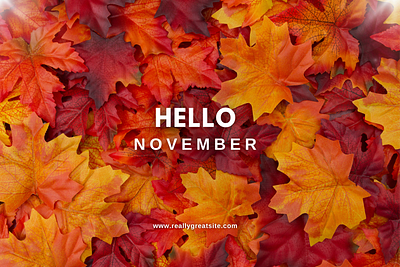 hello november pic branding design graphic design illustration logo vector