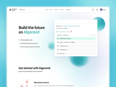 Developer Portal - Home algorand blockchain coding crypto cryptocurrency defi developer fintech hero landing landing page web3