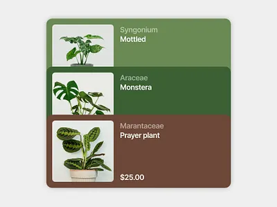 Card Design for Plant Ecommerce Project app card design ecommerc green interior plant ui