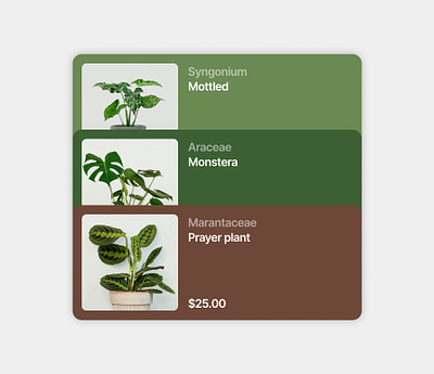 Card Design for Plant Ecommerce Project app card design ecommerc green interior plant ui