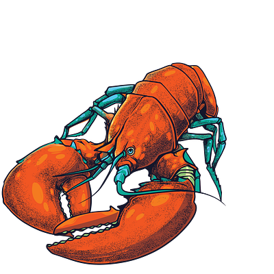 LOBSTER art artworks de design art graphic design illustration ilustration ilustrator