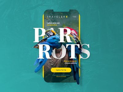 TravelerX Mobile birds brazil design drawingart jungle macaw mexico mobile parrots responsive ui ux web website