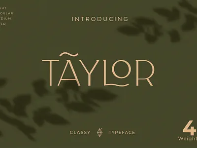 Classy Taylor Typeface clothing