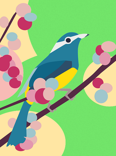 Bird bird design freelance freelancer graphic design illustration illustrator