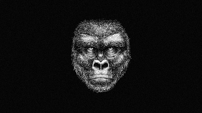 Gorilla Gin ape art direction black and white bottle branding clip studio paint crosshatching gin gorilla illustration ink illustration label monkey print