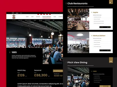 Southampton FC Creative branding design football illustration logo responsive design sport ui ui design ux design