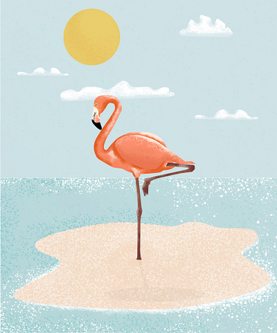 Flamingo design graphic design illustration