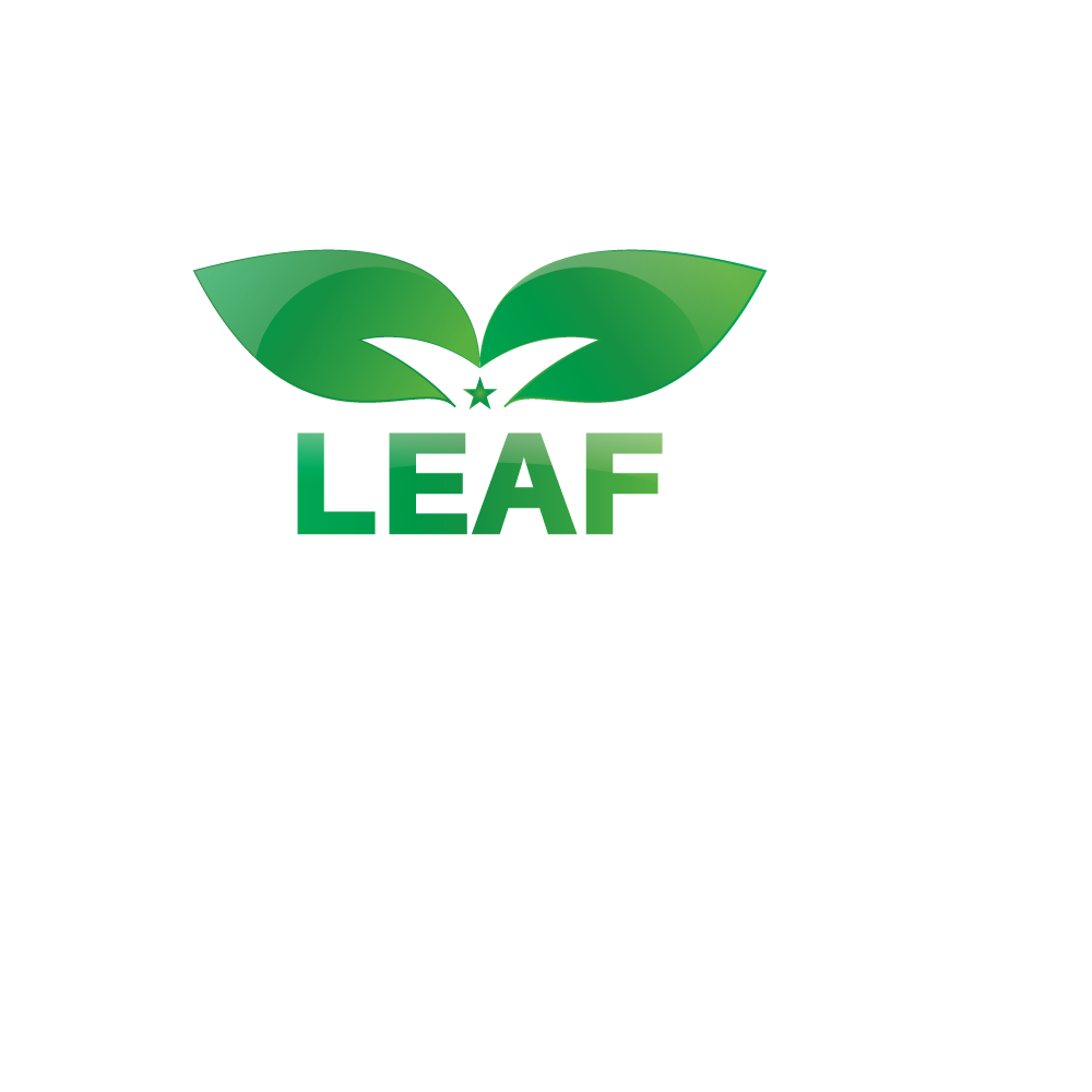 Leaf Logo design by Abdullha Al Noman on Dribbble