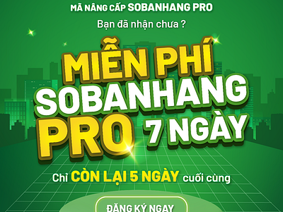 Sun Design: Free Pro promotion ads banner branding design graphic design illustration logo poster thietke ui