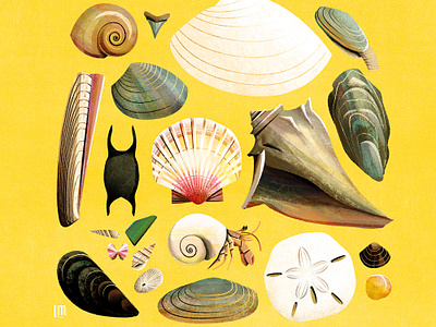 Jersey Shore atlantic beach crab illustration ocean oyster retro sand dollar shells texture vector