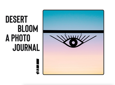 Desert Bloom Digital Photo Journal animation graphic design motion graphics photo journal photography ui website
