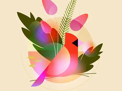 Birds Of The World characterdesign design editorial illustration illustration vector