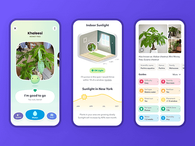 Greg / Plant App design illustration ios mobile app uiux