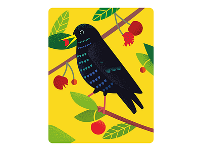 Illustration of a starling bird bird branding color design graphic design illustration inspire ivano frankivsk ukraine