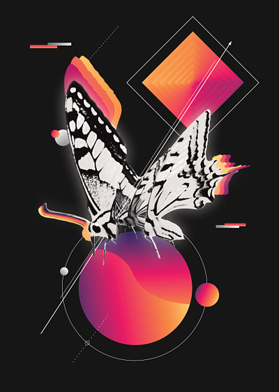 Butterfly a5 graphic design illustration print