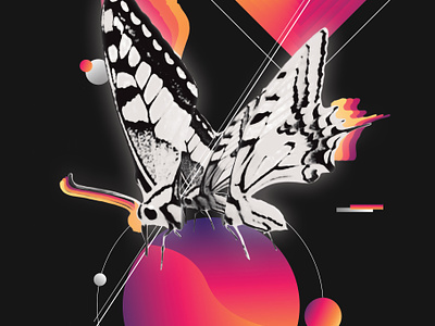 Butterfly a5 graphic design illustration print