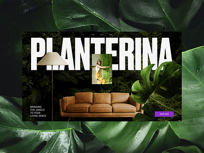 Planterina: First Screen Design Concept branding graphic design grid matte paint photoshop ui web web design