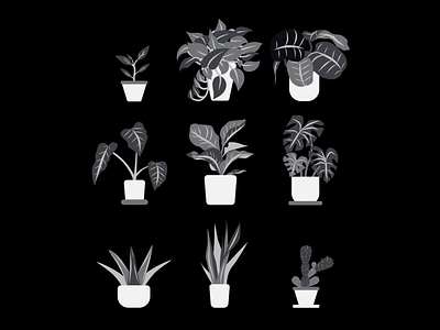 Plant Illustrations graphic design illustration plant ui