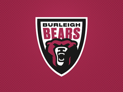 Burleigh Bears bears branding burleigh league logo rugby