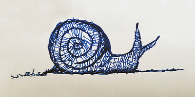Snail Sketch drawing gel pen illustration letter letters nature sketch snail