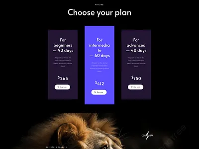 Coursista branding design devlopment logo ui ux wordpress