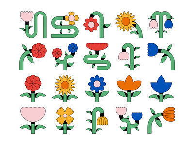 Flowers design graphic design illustration vector