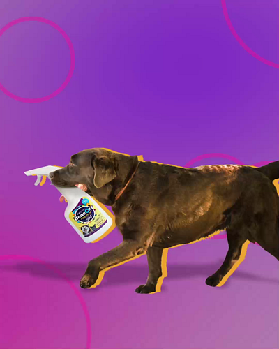 BeneOxy Pet/BRinova after effcets animation dog motion social