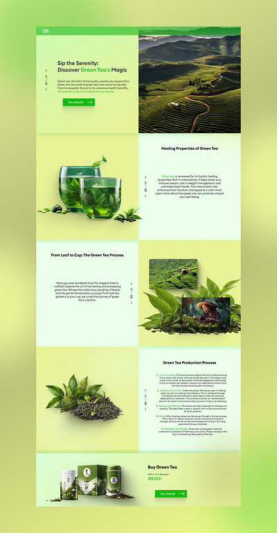 Green Tea Page branding china design gradient graphic design green landing page tea ui web design website