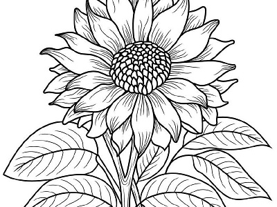 Sun Flower Coloring Page adult coloring book coloring book coloring book for adult coloring book for kids coloring page design drawing graphic graphic design handdrawing kdp content kids coloring book line art line drawing sun flower sun flower coloring page unique coloring page vector art vector illustration