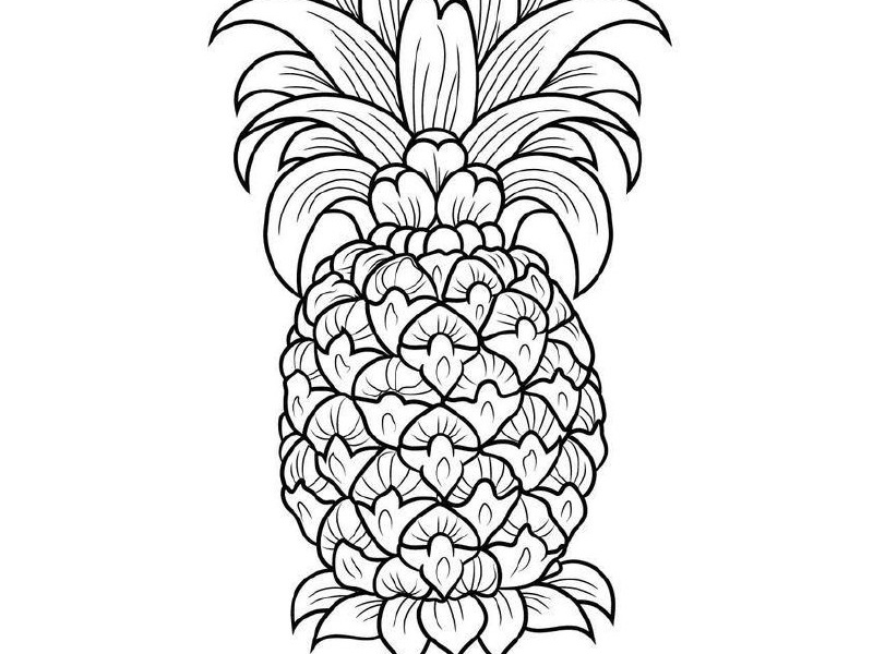 Pineapple Coloring Page by Asadul Islam on Dribbble