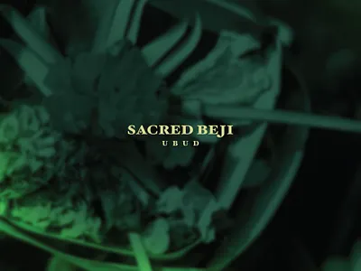 Villa Logo | Bali, Indonesia branding calligraphy design graphic design illustration lettering logo type typography ui villa