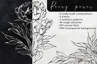 Peony power drawing