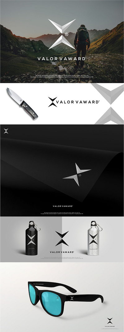 valor branding design graphic design icon illustration logo typography ui ux vector