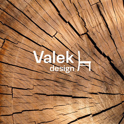 Valek Design - Logo branding design graphic design illustration logo promo typography