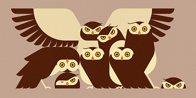 Parliament (2023) animals bird birds branding design illustration minimal illustration nature owl vector wildlife
