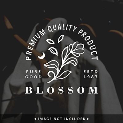 Luxury fashion and beauty business brand logo design badge branding design digitalmedia graphic design illustration illustrator logo portofolio