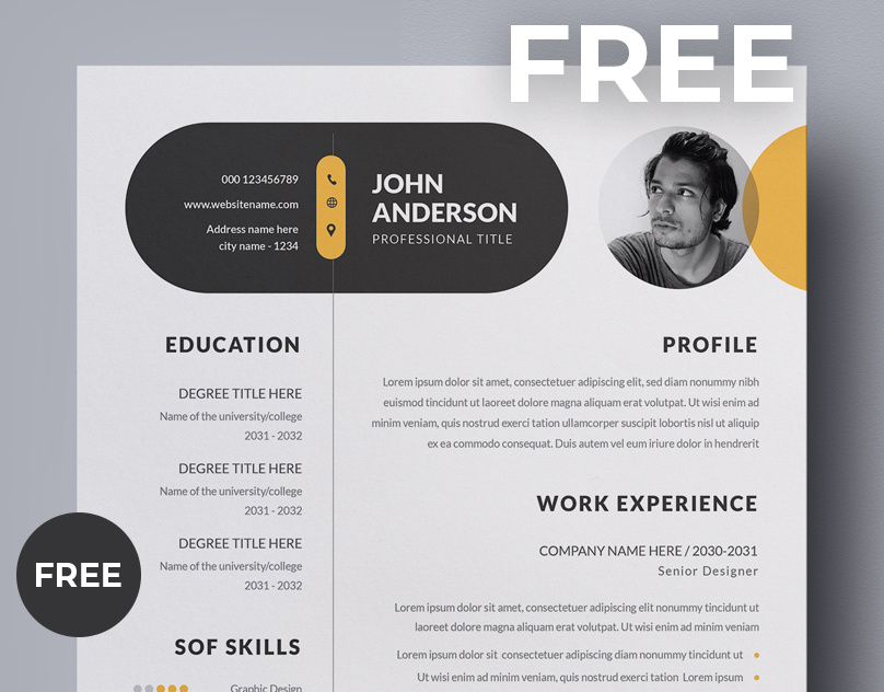 Free Resume by Pixelpick on Dribbble