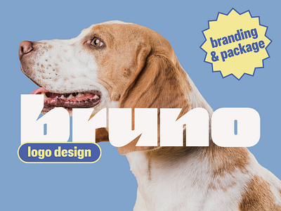 Logo Design for Bruno Brand brand design branding dog dog food graphic design logo packaging snacks