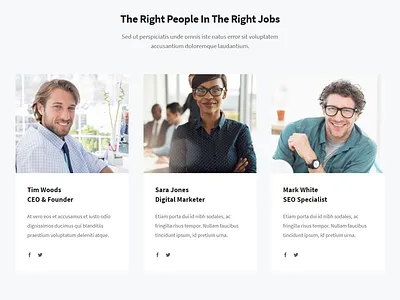 Seo Website-2-who-we-are .website clone copy crocoblock css duplicate elementor figma html jet elements rebuild redesign responsive revamp webflow website clone website copy website speed wix wordpress