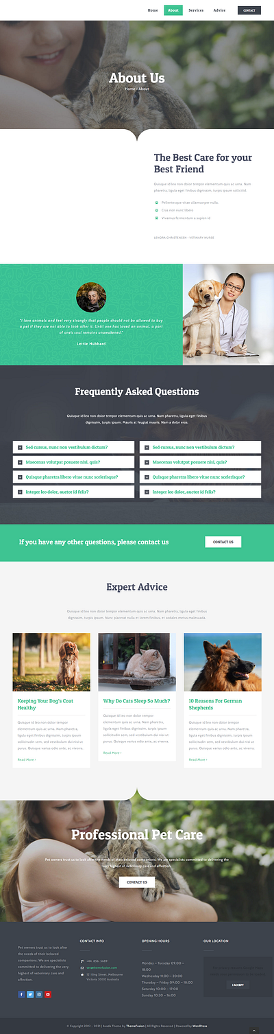 Veterinarian Website development elementorpro mobilefriendly redesignwordpress seo wordpresswebsite