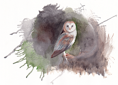 Barn Owl animal bird design hand drawn hand painted art illustration nature watercolour