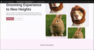 Pet grooming landing page desktop figma ui ui ux visual design web design