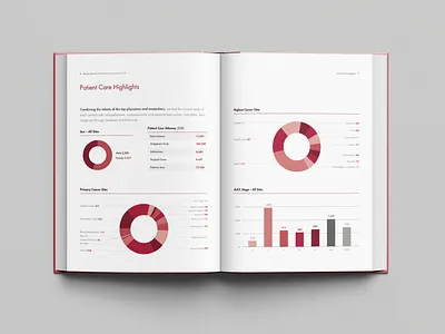 Annual Report for Cancer Institute annual report book cancer charts graphic design graphs hospital medical page layout pie graph