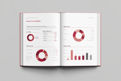 Annual Report for Cancer Institute annual report book cancer charts graphic design graphs hospital medical page layout pie graph