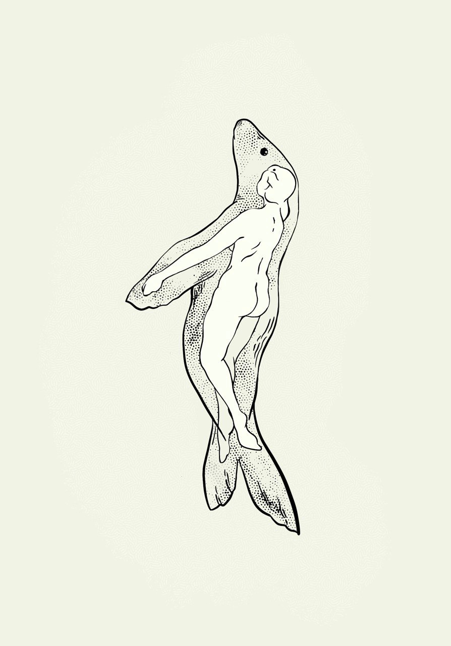 Selkie curvy drawing gaelic graphic graphic design medieval mythical scotland sea lion seal selkie stencil tattoo vintage woman woodcut
