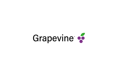 Branding for Grapevine brand identity brand logo branding combination mark design graphic design icon illustrator lettermark logo logo design logo mark logo style minimal wordmark