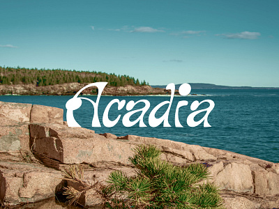 Acadia national park branding custom lettering lettering logo logo design logotype type typography
