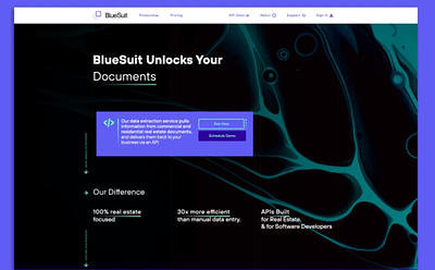 BlueSuit Website development graphic design uxui website