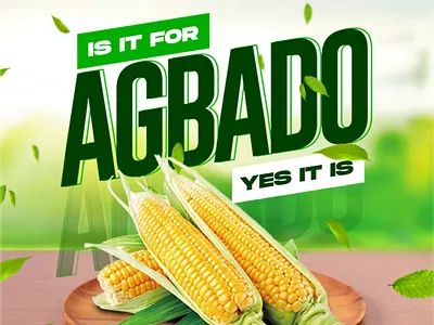 Product Manipulation designs animation branding graphic design