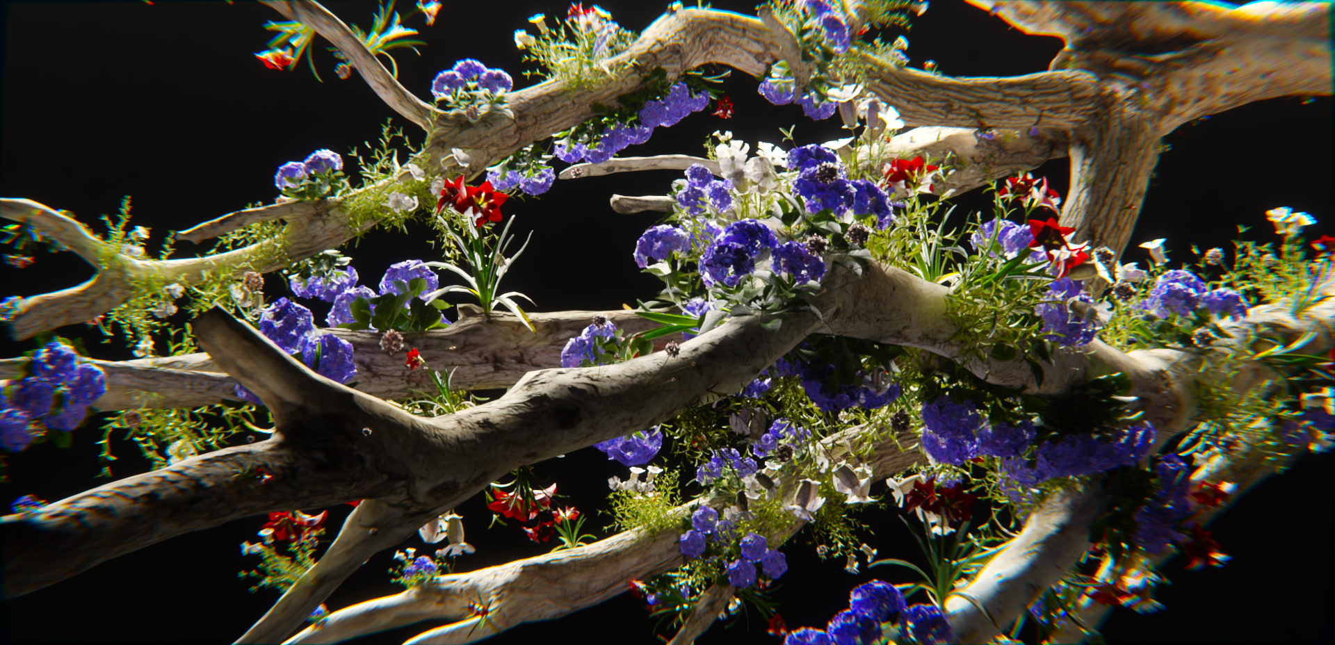 Forrest. 3d abstract beautiful black blender blender3d colors design flower graphic design grass green illustration illustrator leafs lighting photoshop red tree wood